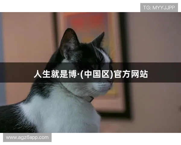 尊龙人生就是博首页深度挖掘游戏背后故事，带你了解游戏开发的精彩细节